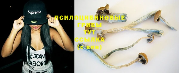 крисы Алзамай