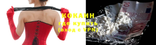 кокс Алексин