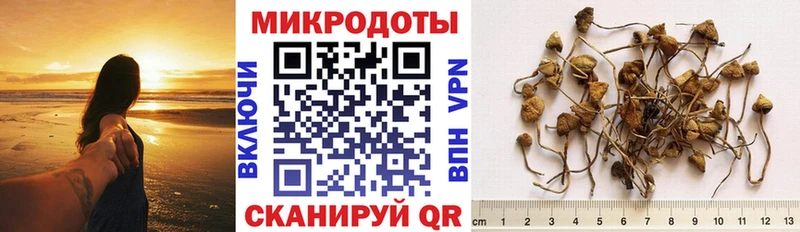 mega ссылка Ликино-Дулёво Псилоцибиновые грибы мухоморы магазин продажи наркотиков